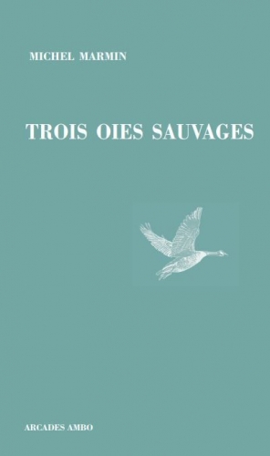 Marmin_Trois oies sauvages.jpg