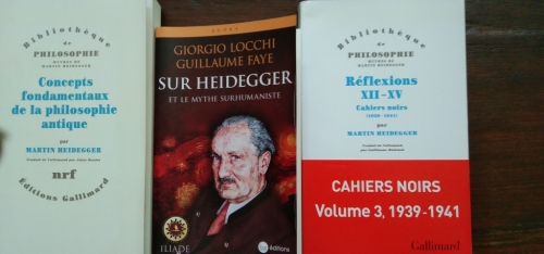 Heidegger_Locchi.jpg