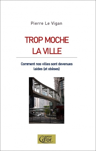 Le Vigan_Trop moche la ville.jpg