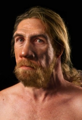 Neandertal.jpg