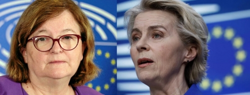 Europe serpillière.jpg