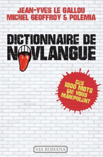 Dictionnaire-de-novlangue.jpg
