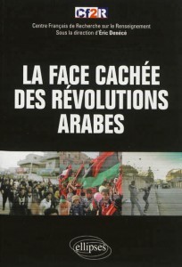 La-face-cachée-des-révolutions-arabes.jpg