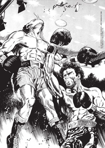 Boxe_Droite.jpg