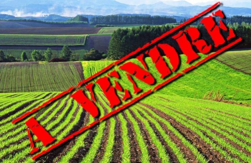 Privatisation_Terres agricoles.jpg